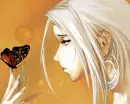 Butterfly Wonder