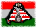hungary1