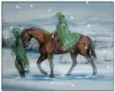 Winter Horse Ladies