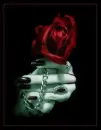 gothic rose