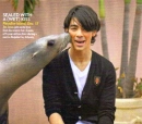 joe jonas