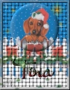 Tina name tag