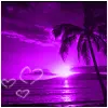 Purple Sunset