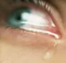 i wont cry