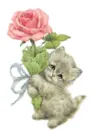 a kitty with a rose