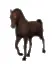 blackhorse