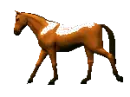 brown_horse