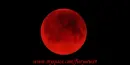 bloody nights