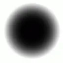 Black Spot