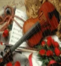Violin