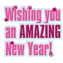 wishing you an amazing new year