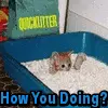 CaT sTuCk