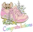 Congratulation