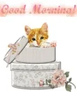 good morning