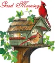 good morning