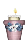 Christmas Candle