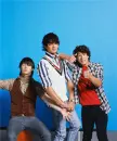 Jonas brothers love