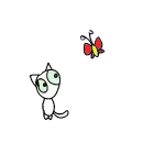 Butterfly cat