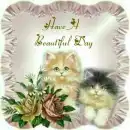 have a beautiful day