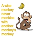 Monkey being wise