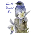 have a beautiful day