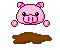 Piggy playing in mud 