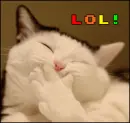cute