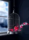 flying hearts