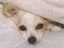 cute