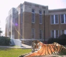 Tigers94