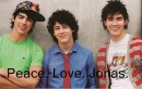 Peace Love Jonas
