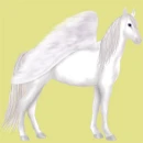 My horse on howrse