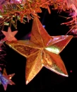 Christmas star