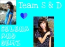 team demi and selena