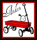 Aiden