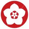 Cherry Blossom (3)