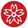 Cherry Blossom (9)