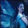 Fairy