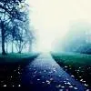 Road