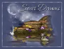 sweet dreams