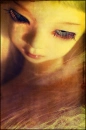 dollY