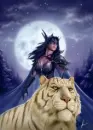kitty