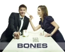 Bones