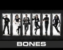 Bones