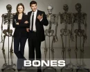 Bones