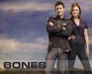 Bones