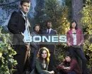 Bones