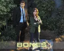 Bones