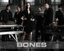 Bones