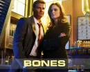 Bones